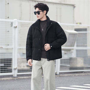 标50绒 羽绒服男冬季2025新款外套 A313-3301-P205劵后298图片