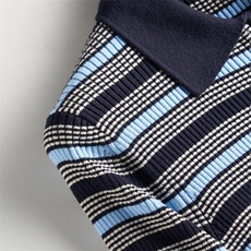 2025年秋季新款POLO珑蓝色条纹针织短袖时尚休闲通勤百搭，女装T恤，致织羊绒