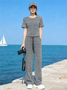 潮流时尚气质套装女夏季新款欧货重工慵懒风灰色短袖阔腿裤两件套图片