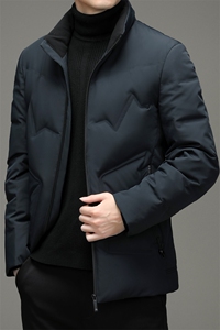 DJ9830钱塘2020-3冬季厚款商务休闲立领在男士羽绒服货稳P300图片