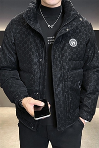 贴标花纹立领皮羽绒服男 休闲保暖上衣外套 A329-YR9873-P185图片