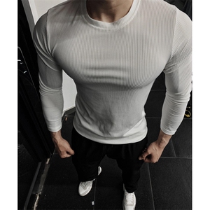 【有货】条纹修身长袖t恤男款显肌肉动健身训练卫衣T167CC-特P28图片