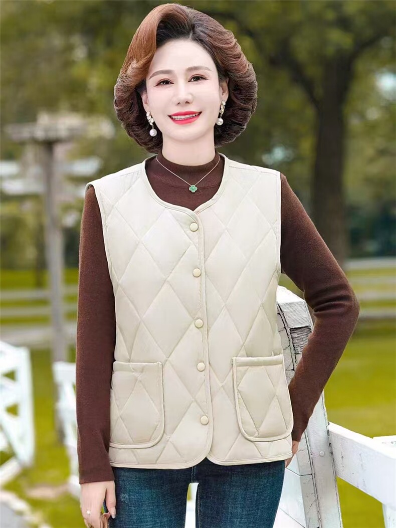 2024秋新款简约时尚百搭保暖马甲女外套,女装马甲,炳炬电商供货