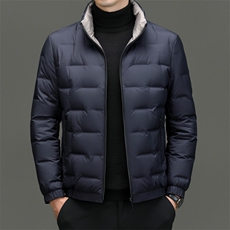 秋冬季男士白鸭绒羽绒服加绒保暖商务品质立领外套休闲简约男装，男装羽绒服，钱塘6003（原4033）