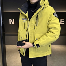 标50白鸭绒工装加厚外套2025新款男装羽绒服C317-Y6803-P215，男装羽绒服，电商C317