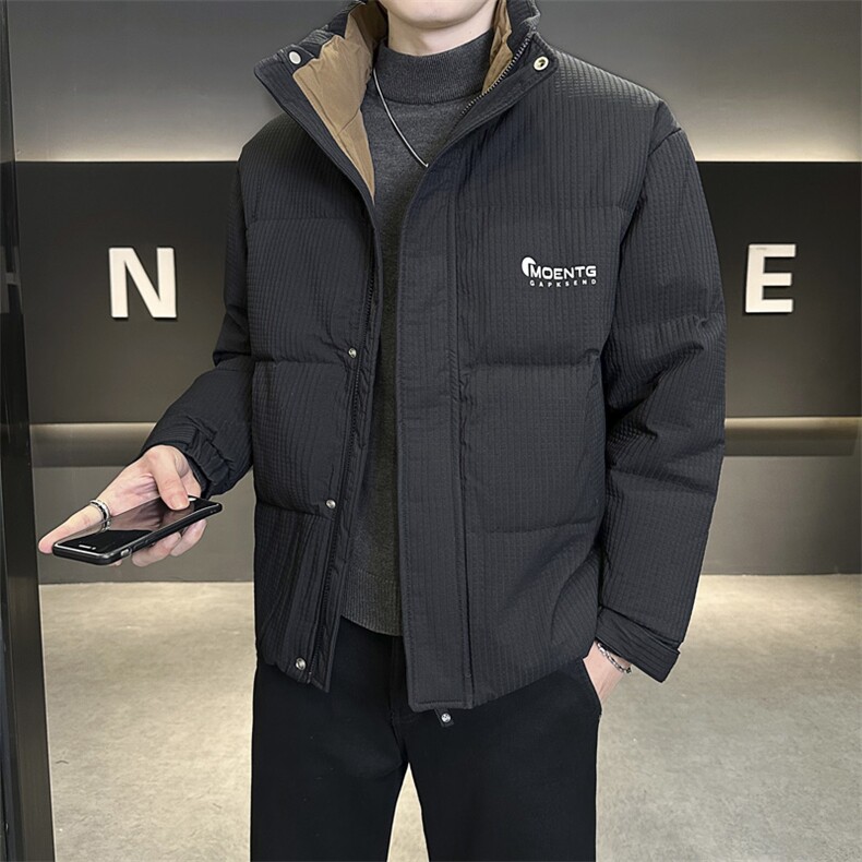店主风2025年新款时尚立领潮流保暖羽绒服男A236-G61-P185,男装羽绒服,电商A236
