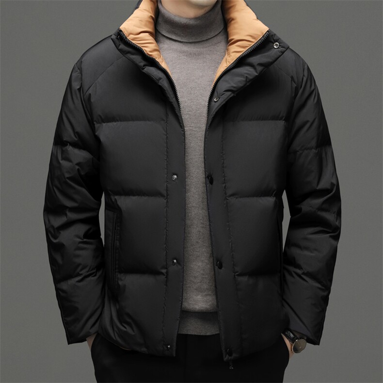 CSYR93392钱塘2020-2冬季厚款商务休闲立领中年男士羽绒服P245图片