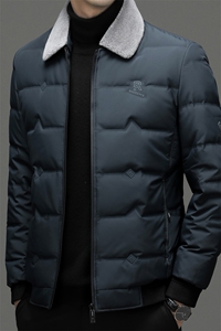 CSYR98213钱塘2020-2冬季厚款商务休闲翻领中年男士羽绒服P225图片
