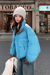 90白鸭绒 鸭鸭同款羽绒服  2C323  8861 P310图片