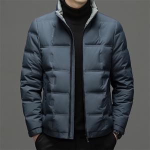 CSYR98202钱塘2020-2冬季厚款时尚休闲百搭中年男士羽绒服P180图片