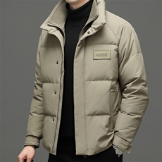 DF8203钱塘2020-2冬季时尚简约厚款新款中年男士羽绒服P335，男装羽绒服，钱塘207-2