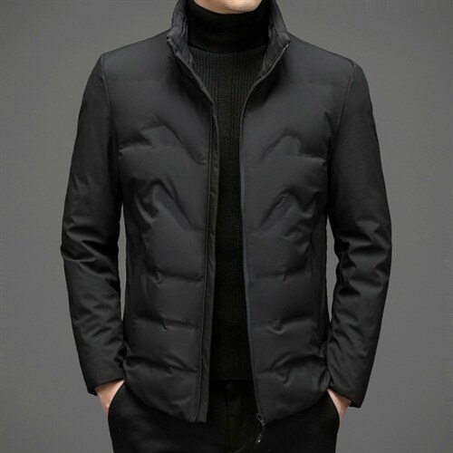 羽绒服外套男立领商务休闲中年男装冬季中老年爸爸装ZL6107-P195,男装羽绒服,电商B212（原钱塘6029）