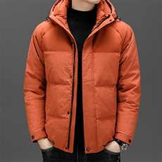 BZC2391钱塘2020-2时尚休闲简约冬季厚款中年男士羽绒服P240，男装羽绒服，钱塘207-2