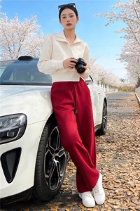 个性简约时尚套装女春季新款杏色立领长袖上衣红色阔腿长裤两件套图片