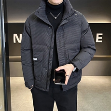 轻薄羽绒服男冬季2024新款条纹立领男装外套A313-7535-P175，男装羽绒服，电商A313