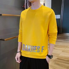 2021新款连帽卫衣男套头印花韩版青年休闲外套春秋款DF114T，男装卫衣，电商A102