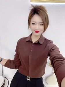 polo领长袖T恤女2024秋冬新款时尚纯色德绒打底衫韩版显瘦上衣潮图片