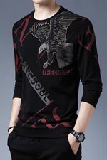 长袖t恤男士圆领卫衣春秋季纯色中年男印花打底衫上衣服潮，男装卫衣，电商B212（原钱塘6029）
