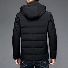 冬季新款男士羽绒服外套男装连帽纯色保暖休闲白鸭绒MJ82066-P290，男装羽绒服，电商B212（原钱塘6029）