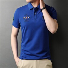 男士短袖polo衫宽松休闲百搭体恤半袖t恤衫夏装翻领上衣，男装T恤，电商B212（原钱塘6029）
