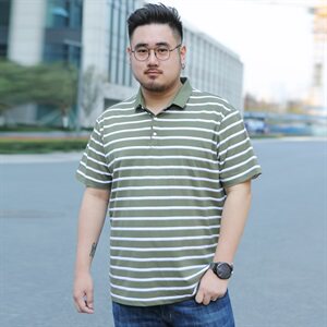 夏季新款棉短袖T恤男士翻领条纹polo衫休闲男装加肥大码5932款图片