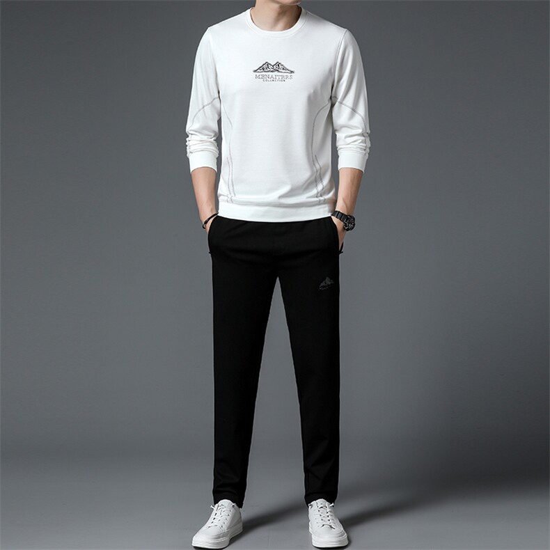 S3080钱塘2020-2中青年男士秋季时尚休闲简约长袖卫衣套装P127,男装卫衣,钱塘207-2