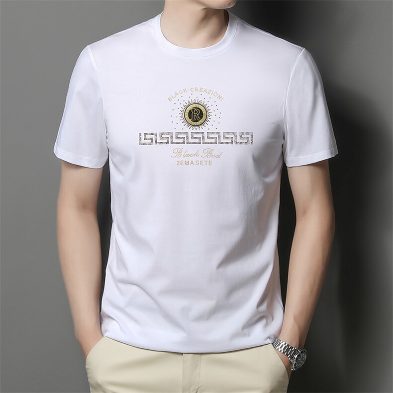FL-SM3125男式2023年夏季新款丝光棉T恤衫男短袖圆领休闲体恤P56,男装T恤,电商B360