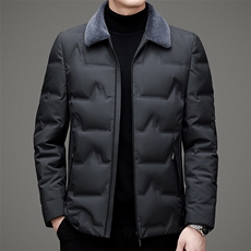 白鸭绒可脱卸毛领羽绒服男冬季中年男士翻领冬装外套ZL1F17-P230，男装羽绒服，电商B212（原钱塘6029）