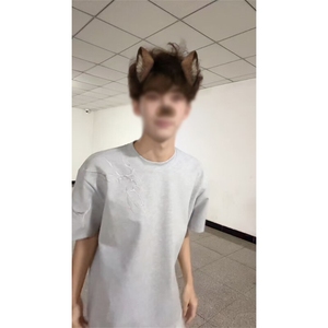 【有货】JT03HH-特P35 闪电纹刺绣短袖T恤男女图片