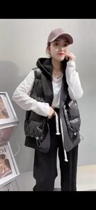 羽绒马甲图片