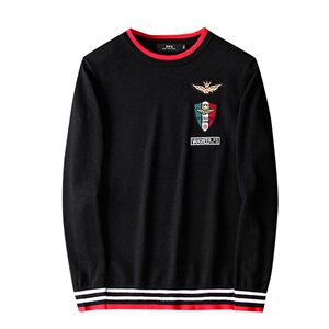 2020新品羊毛衫男士刺绣针织毛衣  QT711 2008 P110 假模 冬季款图片