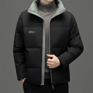 2023年新款羽绒服P220图片