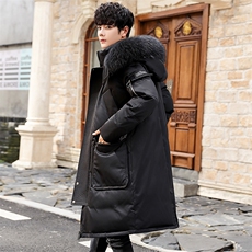 现货外贸侧飞图立领光板团体服班服宽松韩版情侣学生外套羽绒服，男装羽绒服，星座301D-5(原星座1415）