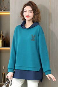 2023春装时尚休闲气质连帽个性减龄拼接宽松舒适卫衣图片