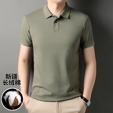 夏季短袖T恤男翻领商务休闲Polo衫中青年纯色百搭简约上衣男半袖，男装T恤，电商B212（原钱塘6029）