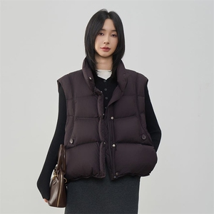 现货2025年冬季新款休闲宽松羽绒马甲女90绒图片