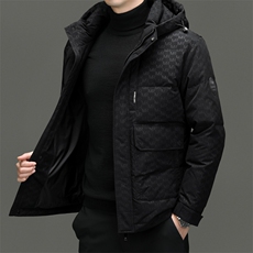 DF23102钱塘2020-2新款冬季时尚百搭有帽简约中年男士羽绒服P303，男装羽绒服，钱塘207-2