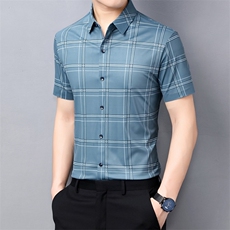 短袖衬衫男夏季新款条纹格子免烫寸衫中年薄款商务休闲上衣服P83，男装衬衫，钱塘6003A(原)4033A