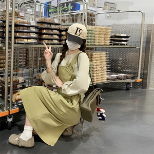 背带裙俩件套装女2025新款春秋新款长袖收腰显瘦气质减龄连衣裙子图片