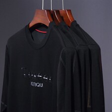 中青年圆领印花卫衣男2023秋季新款宽松免烫长袖加绒打底衫男装，男装卫衣，电商B212（原钱塘6029）