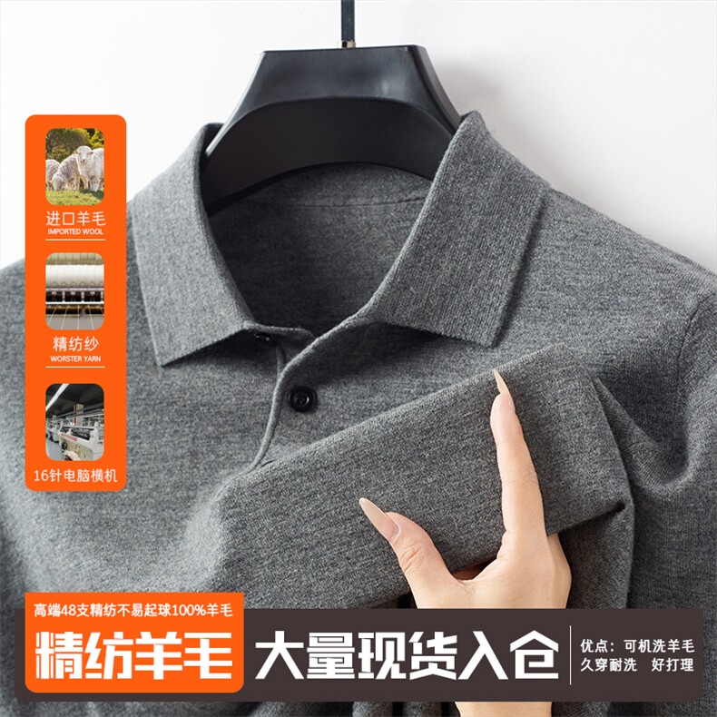 春秋款翻领纯绵羊毛针织衫男士翻领长袖t恤商务polo打底体恤上衣，男装T恤，电商B212（原钱塘6029）