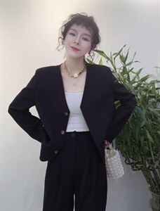 春款新款V领韩版小外套图片