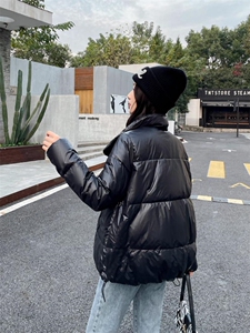 香丽迪冬装新款羽绒服图片