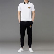 短袖T恤套装男2023夏季新款青年男士冰丝薄款t恤休闲裤两件套男，男装休闲套装，电商B212（原钱塘6029）