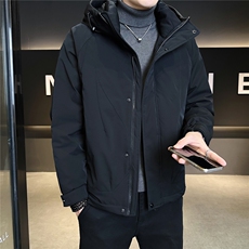 标50绒男士羽绒服冬季2025新款连帽工装外套A313-9912-P215，男装羽绒服，电商A313