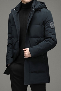 白鸭绒羽绒服男新款21冬装连帽羽绒服休闲外套上衣男DD21718-P380图片