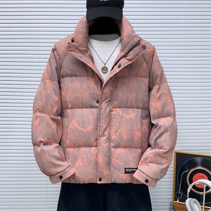 白鸭绒羽绒服男保暖加厚外套DP160-P388图片