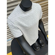 （网图）夏装新品肌理感短袖冰感纹理美式T恤学生男C213-121-P28，男装T恤，电商C213(原B265)