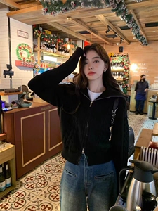 2025年秋季新款百搭女士翻领麻花拉链开衫图片