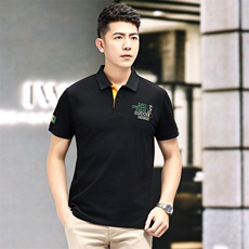 夏季丝光棉短袖T恤男士2026新款薄款冰丝透气宽松休闲翻领Polo衫，男装T恤，电商B212（原钱塘6029）